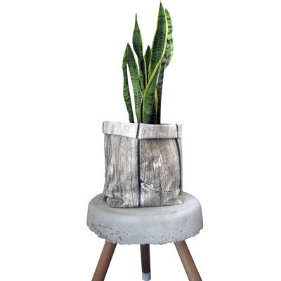 Pony Lane Large Waterproof Fabric Planter