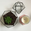 Glass Terrarium Planter Bowl