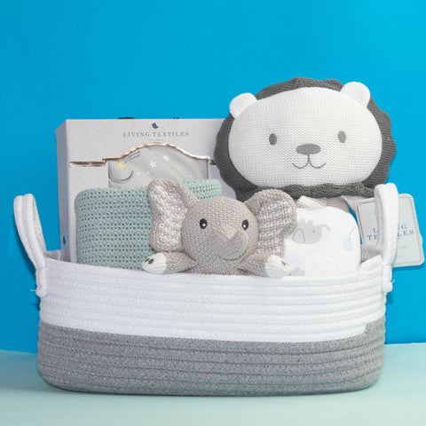 Welcome Baby Gift Basket (Deluxe) - Sage