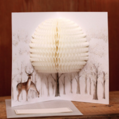 O-Check Pop Up 3D Stag Card