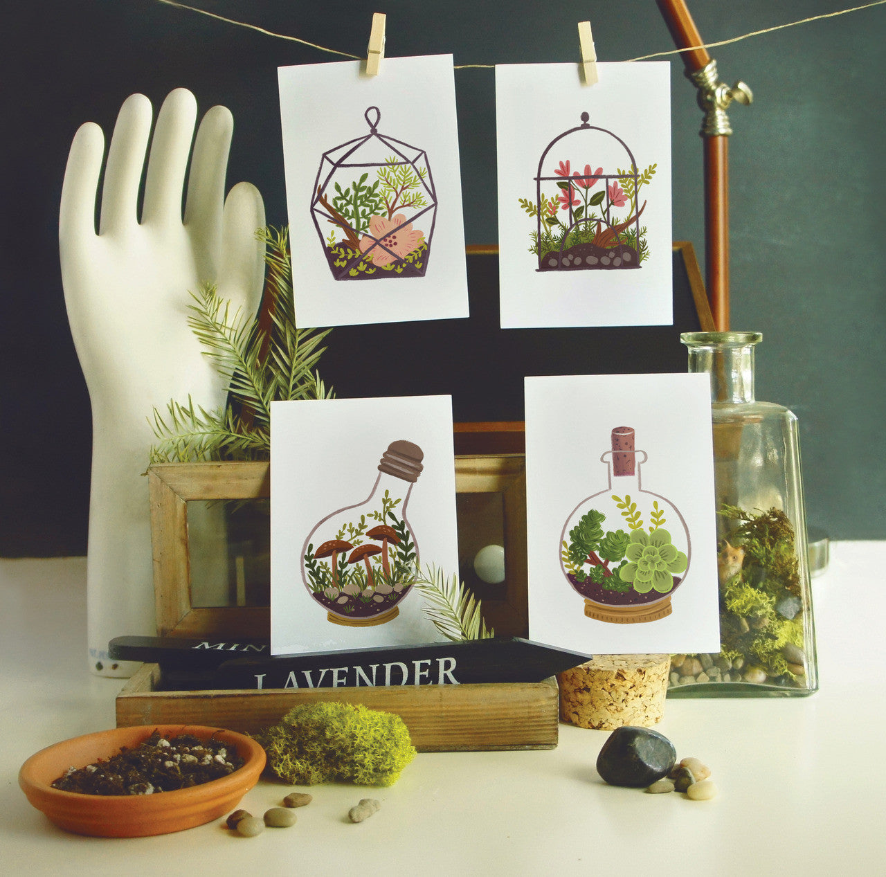 Quill & Fox Postcards - Terrarium Postcard Set