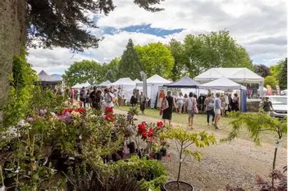 Geraldine Fete | Thurs 03 November 2026