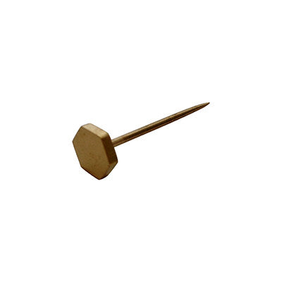 Pony Lane Hexagon Gold Pin