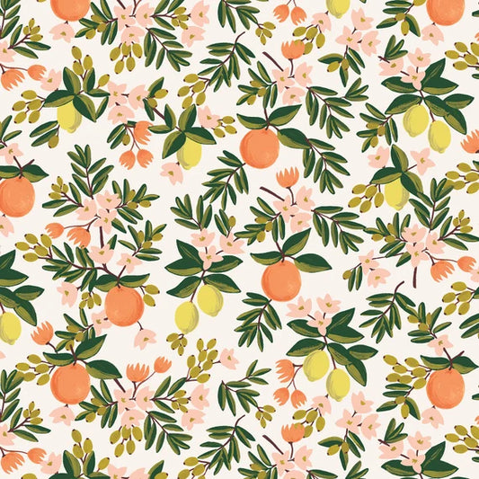 Rifle Paper Co Citrus Floral Pleat Coin Purse - Black