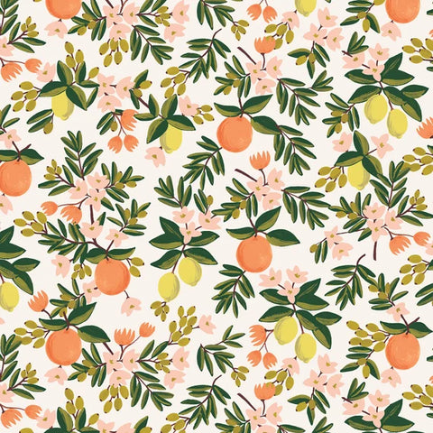 Rifle Paper Co Citrus Floral Pleat Coin Purse - Black