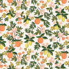 Rifle Paper Co Citrus Floral Pleat Coin Purse - Black