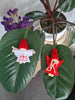 Scandi Wooden and Felt Christmas Angels with Knitted Hat