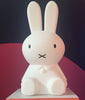 Miffy Rabbit Light - Small