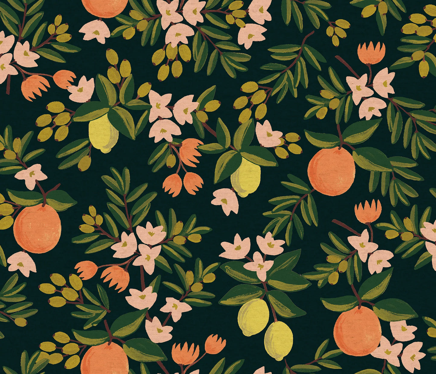 Rifle Paper Co Citrus Floral Pleat Coin Purse - Black