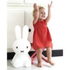 Miffy Rabbit Light - Small